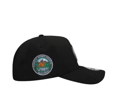 GORRA NEW ERA ALIEN PACIFIC COAST NEGRA