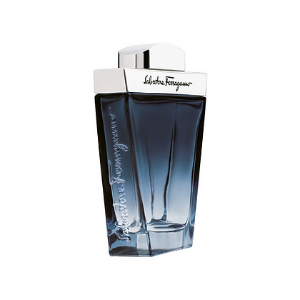 Salvatore Ferragamo Subtil For Men 100ML