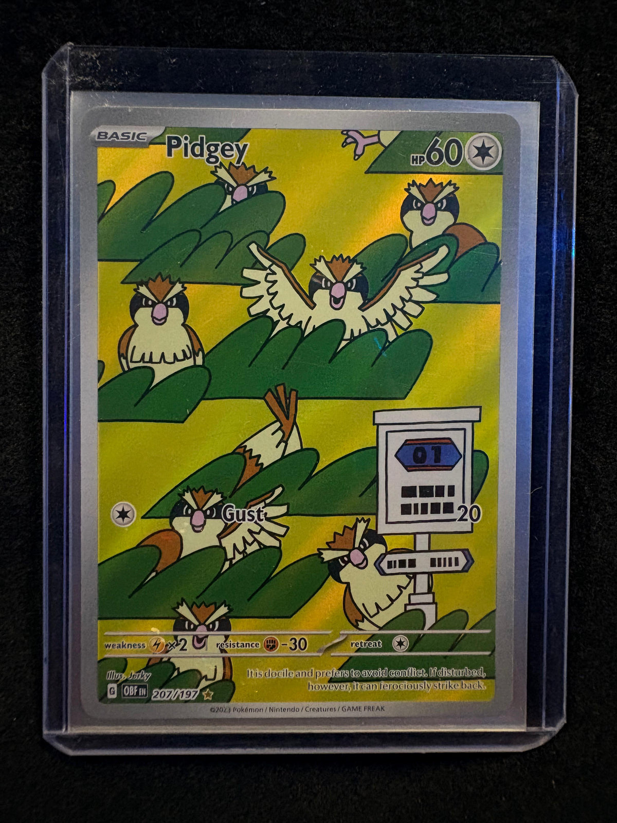 CARTA POKEMON Pidgey
