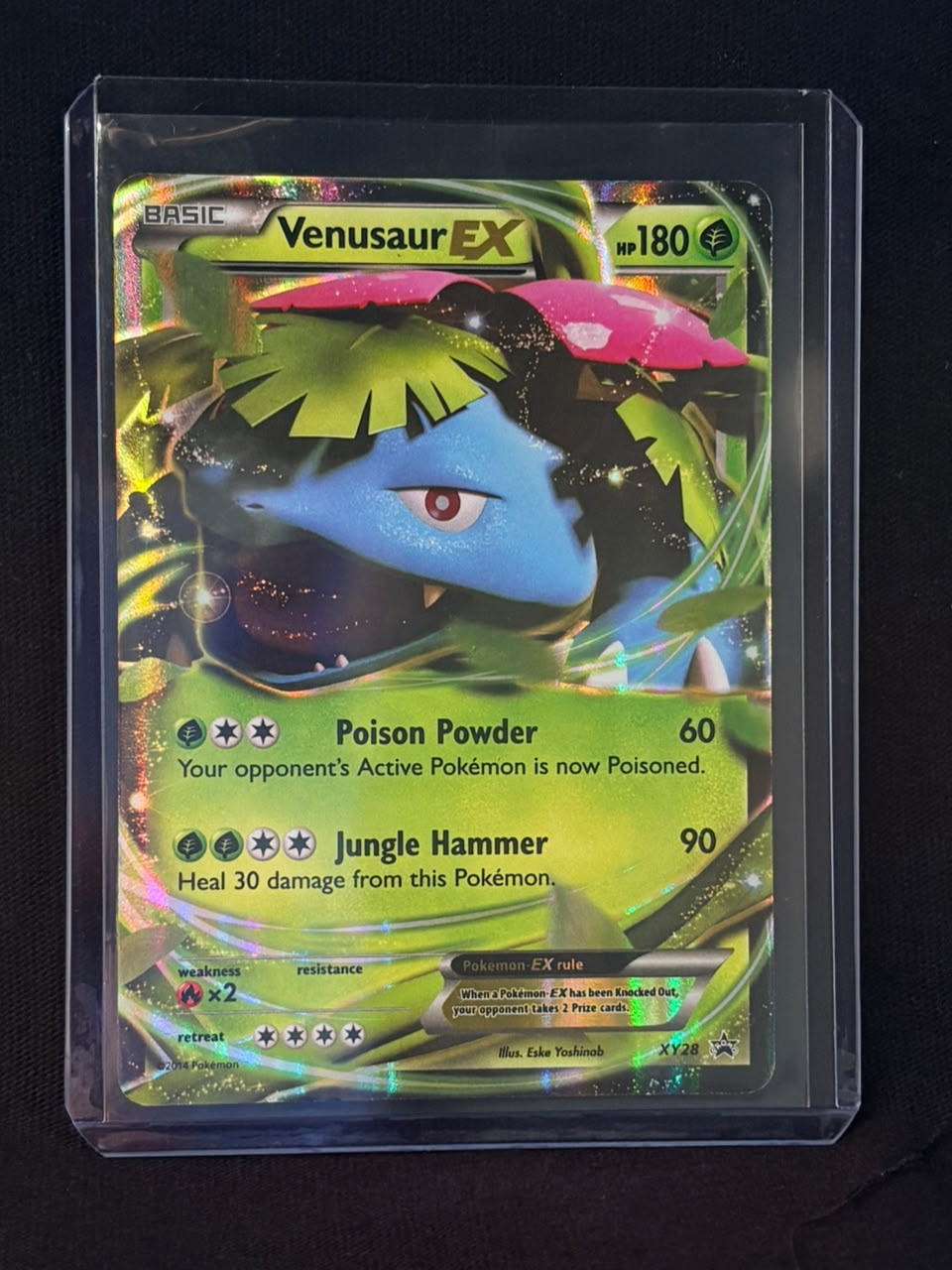 CARTA POKEMON Venusaur EX XY28 – Promo