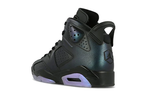 Air Jordan 6 Retro All Star 2017 "Chameleon" (GS)