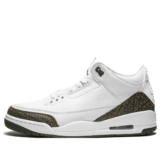 Air Jordan 3 Retro Mocha (2018) SEMINUEVO