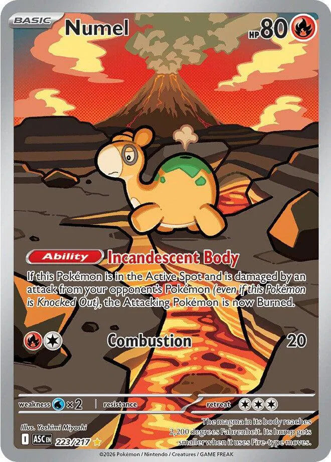 Carta Pokémon Numel 223/217 Ascended Heroes