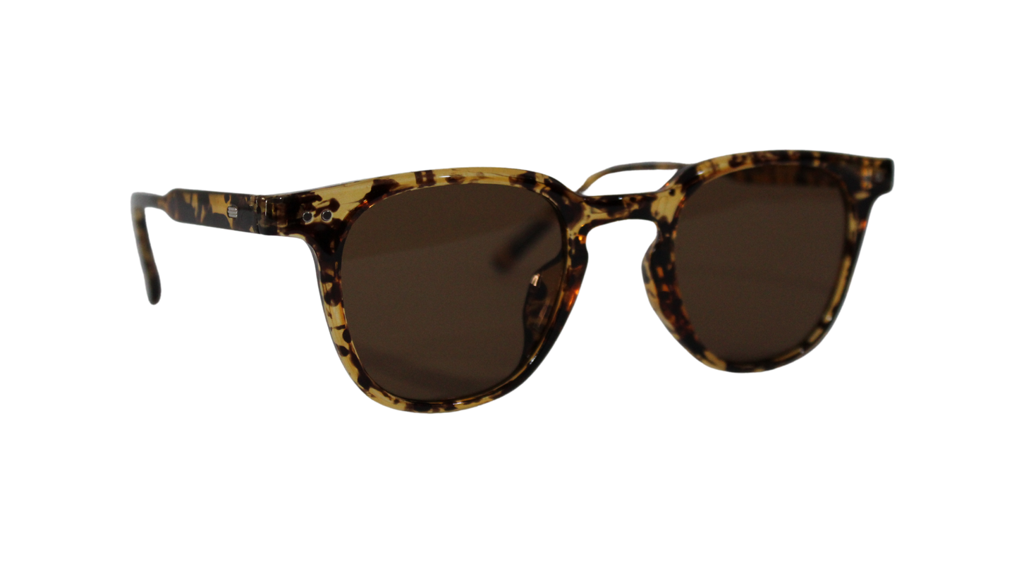 Lentes Carey Martini Brown Frame