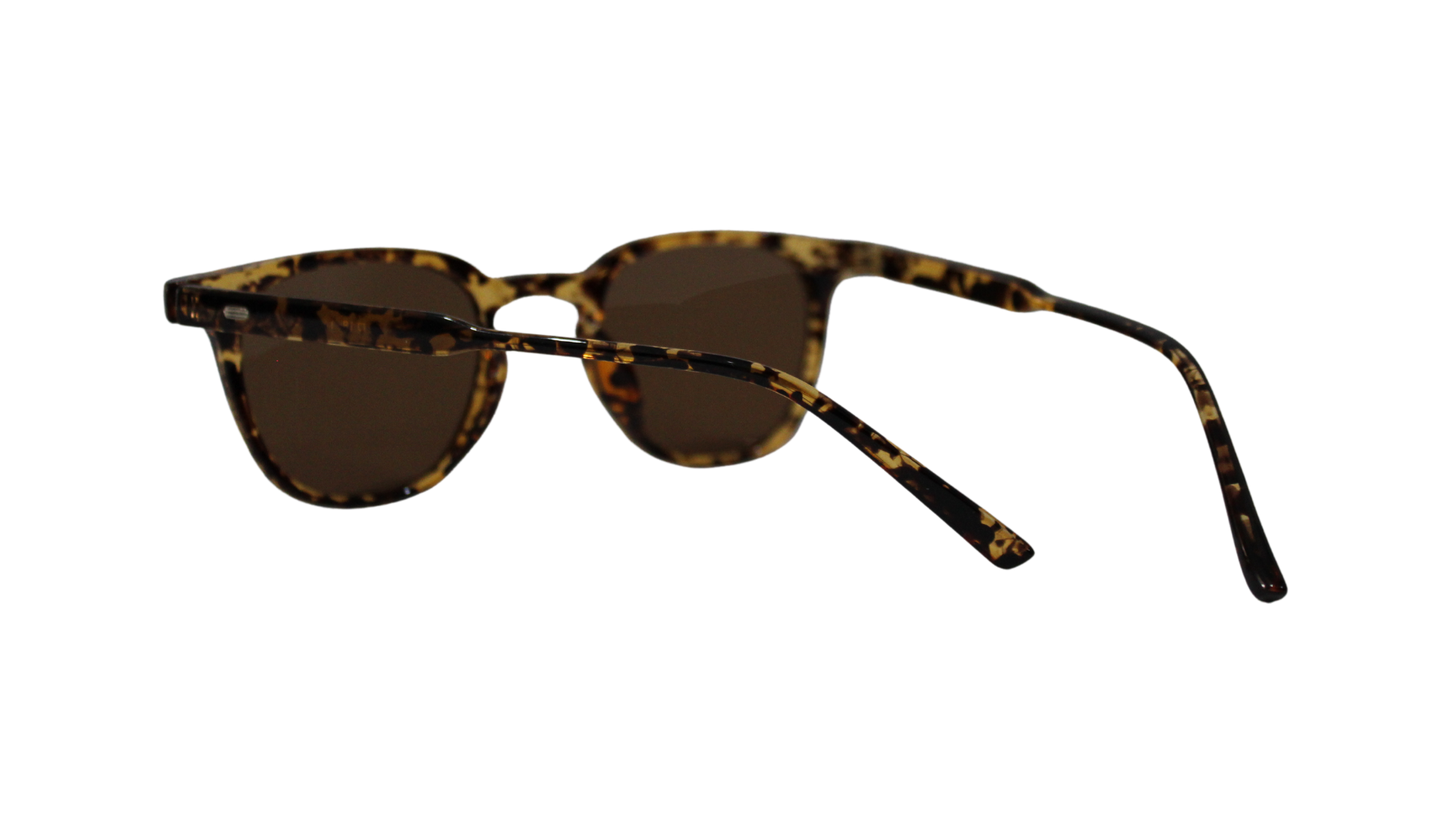 Lentes Carey Martini Brown Frame